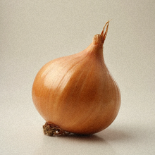 Główka cebuli